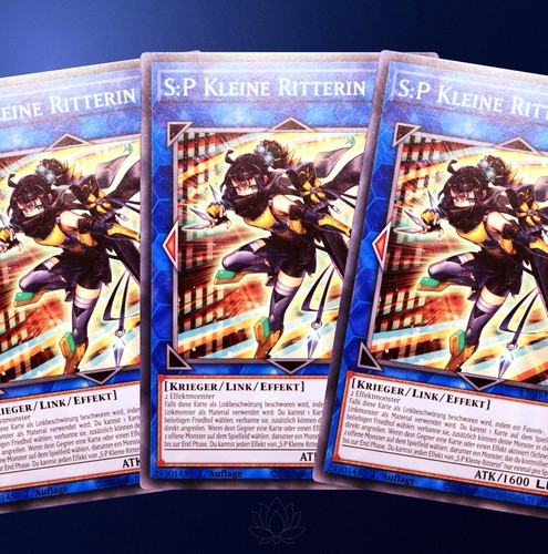 Kleine ritterin set - ritterin,